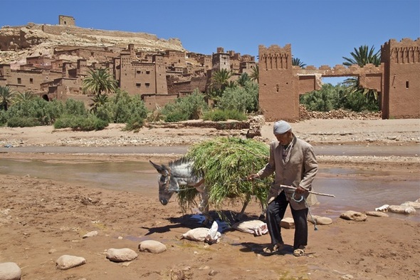 Rondreis Marokko Saharasafari, 8 dagen