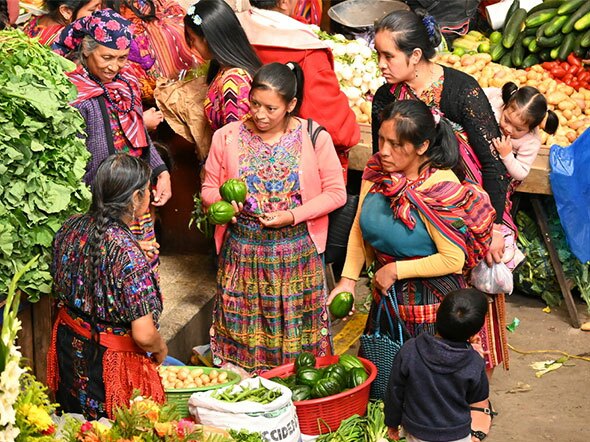 Guatemala & Belize, 19 dagen met de kinderen