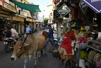 Bhuj stad India