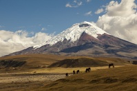 Cotopaxi vulkaan Ecuador