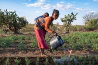 UNICEF Madagaskar moestuin