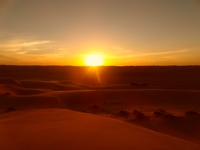 Wahiba woestijn, zoeken op oman