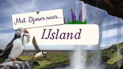 Met Djoser naar IJsland