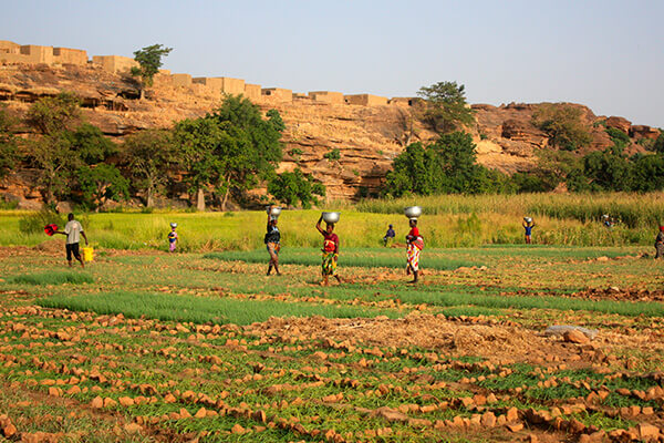 Rondreis Ghana, Togo Benin, 22 dagen